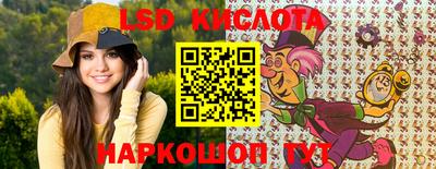 гашик Камышлов