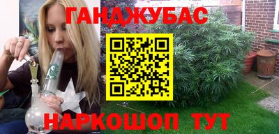 гашик Камышлов