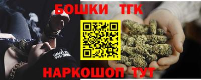 гашик Камышлов