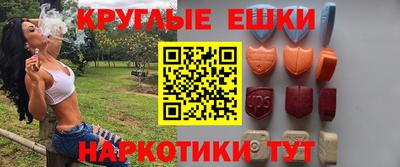 гашик Камышлов