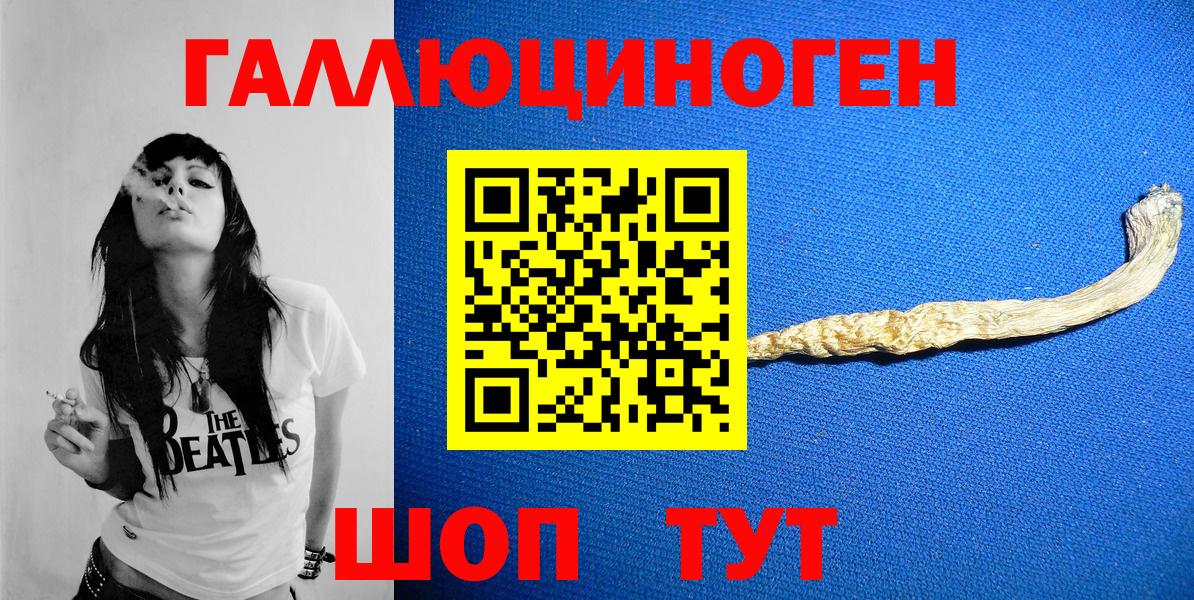 Кулебаки  Псилоцибиновые грибы Psilocybe  купить наркоту  Псилоцибиновые грибы Psilocybine cubensis  Вход с VPN 